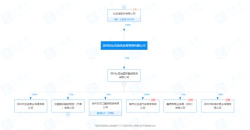 比亞迪供應(yīng)鏈戰(zhàn)略 98%負(fù)債率背景下增資30億元強(qiáng)化租賃服務(wù)布局
